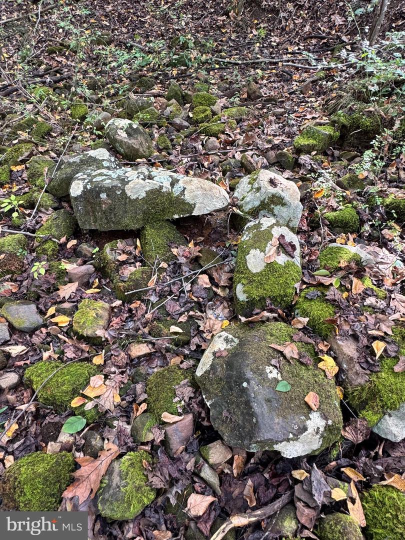 25 FALLING SPRINGS DR, AFTON, Virginia 22920, 3 Bedrooms Bedrooms, ,2 BathroomsBathrooms,Residential,For Sale,25 FALLING SPRINGS DR,VANL2000606 MLS # VANL2000606