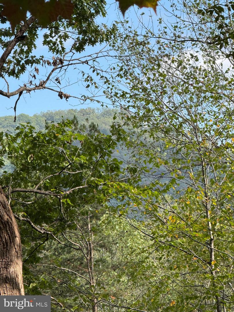 25 FALLING SPRINGS DR, AFTON, Virginia 22920, 3 Bedrooms Bedrooms, ,2 BathroomsBathrooms,Residential,For Sale,25 FALLING SPRINGS DR,VANL2000606 MLS # VANL2000606