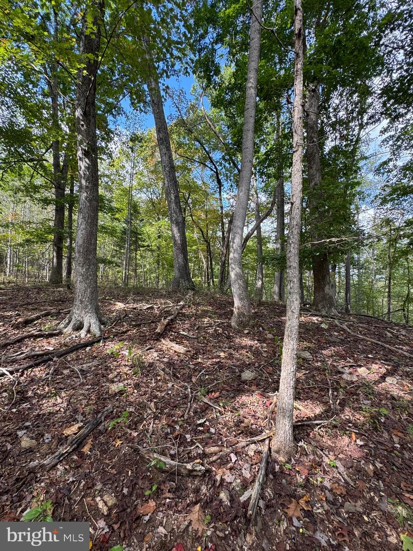 25 FALLING SPRINGS DR, AFTON, Virginia 22920, 3 Bedrooms Bedrooms, ,2 BathroomsBathrooms,Residential,For Sale,25 FALLING SPRINGS DR,VANL2000606 MLS # VANL2000606