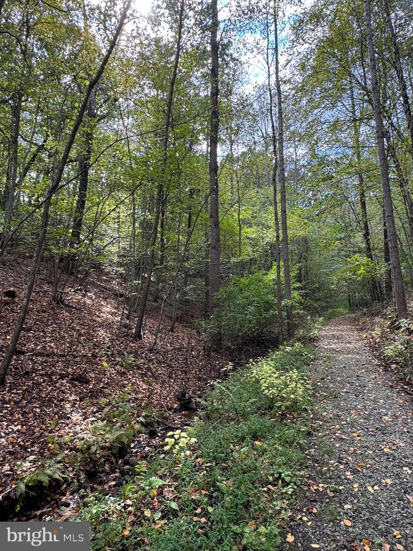 25 FALLING SPRINGS DR, AFTON, Virginia 22920, 3 Bedrooms Bedrooms, ,2 BathroomsBathrooms,Residential,For Sale,25 FALLING SPRINGS DR,VANL2000606 MLS # VANL2000606