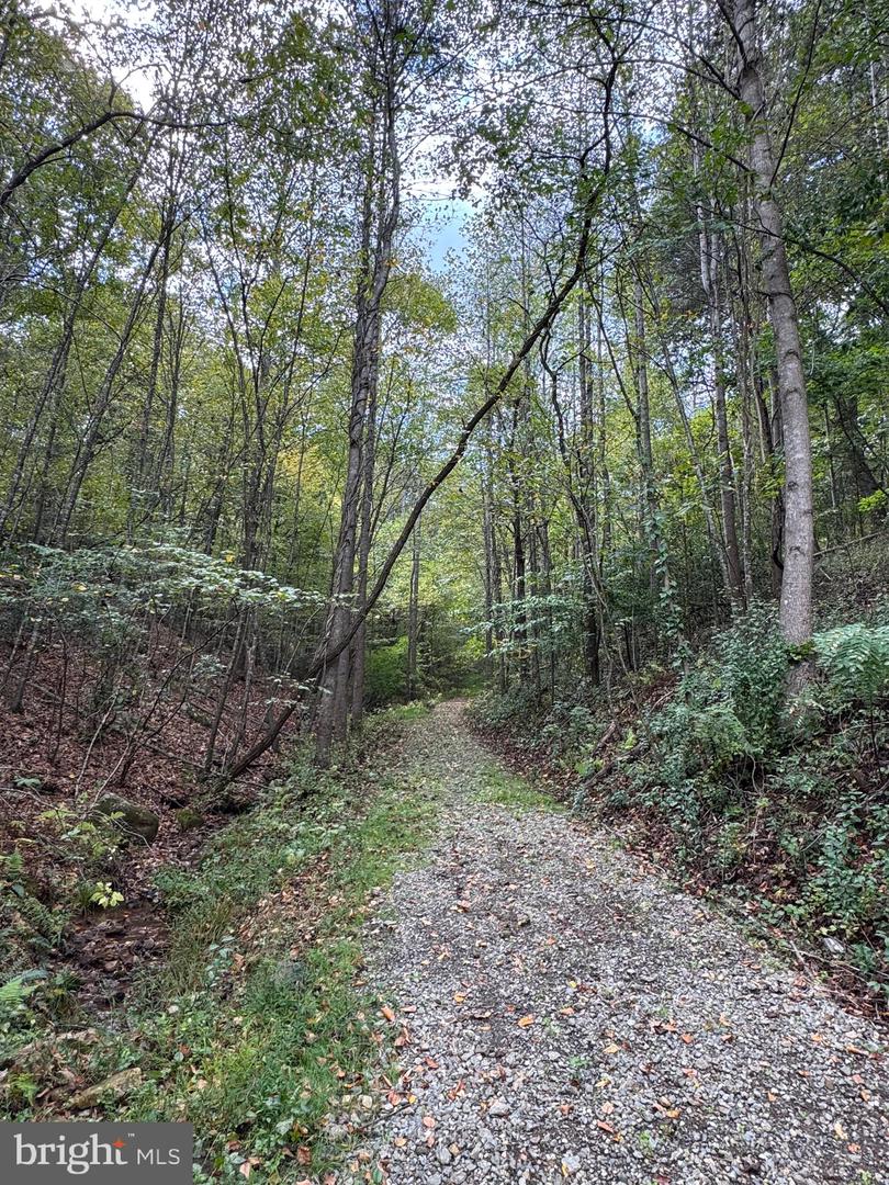 25 FALLING SPRINGS DR, AFTON, Virginia 22920, 3 Bedrooms Bedrooms, ,2 BathroomsBathrooms,Residential,For Sale,25 FALLING SPRINGS DR,VANL2000606 MLS # VANL2000606