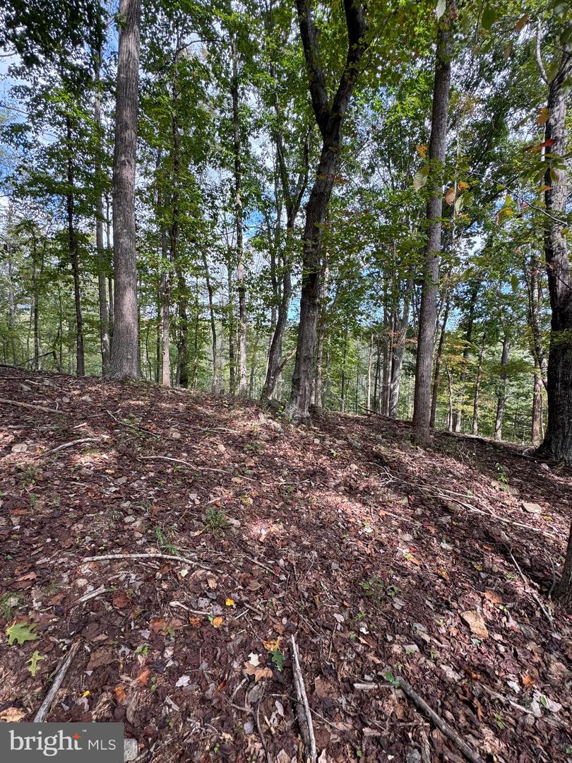 25 FALLING SPRINGS DR, AFTON, Virginia 22920, 3 Bedrooms Bedrooms, ,2 BathroomsBathrooms,Residential,For Sale,25 FALLING SPRINGS DR,VANL2000606 MLS # VANL2000606