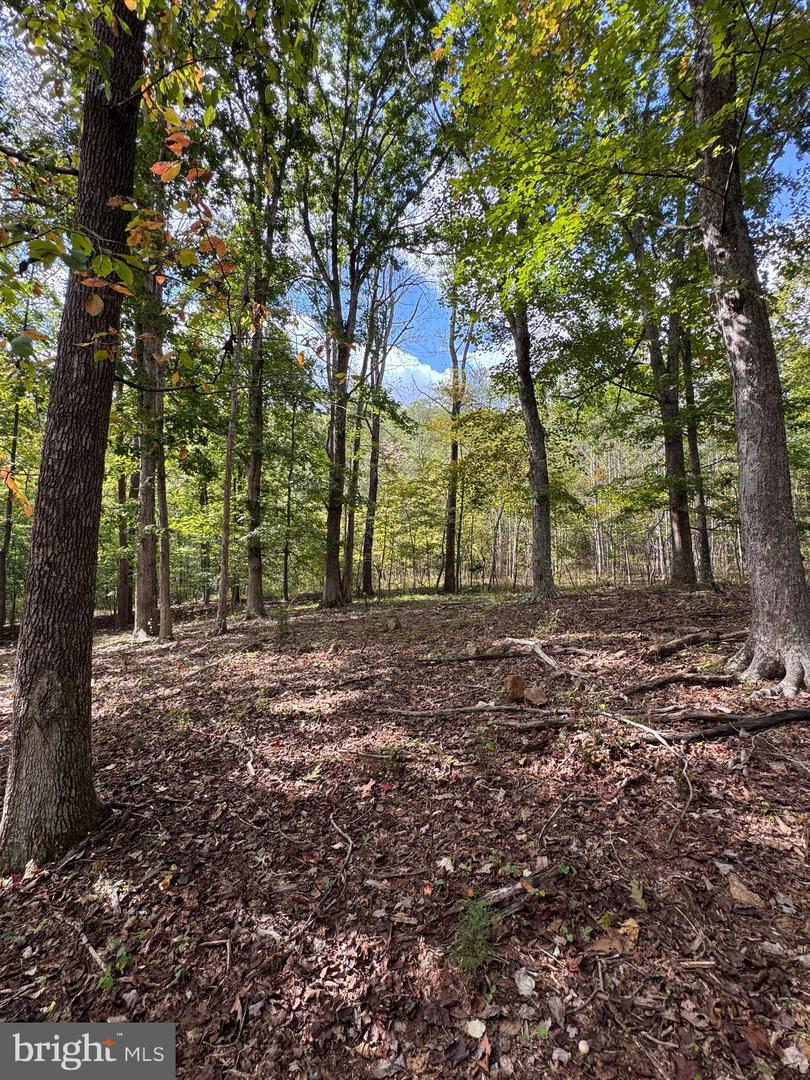 25 FALLING SPRINGS DR, AFTON, Virginia 22920, 3 Bedrooms Bedrooms, ,2 BathroomsBathrooms,Residential,For Sale,25 FALLING SPRINGS DR,VANL2000606 MLS # VANL2000606