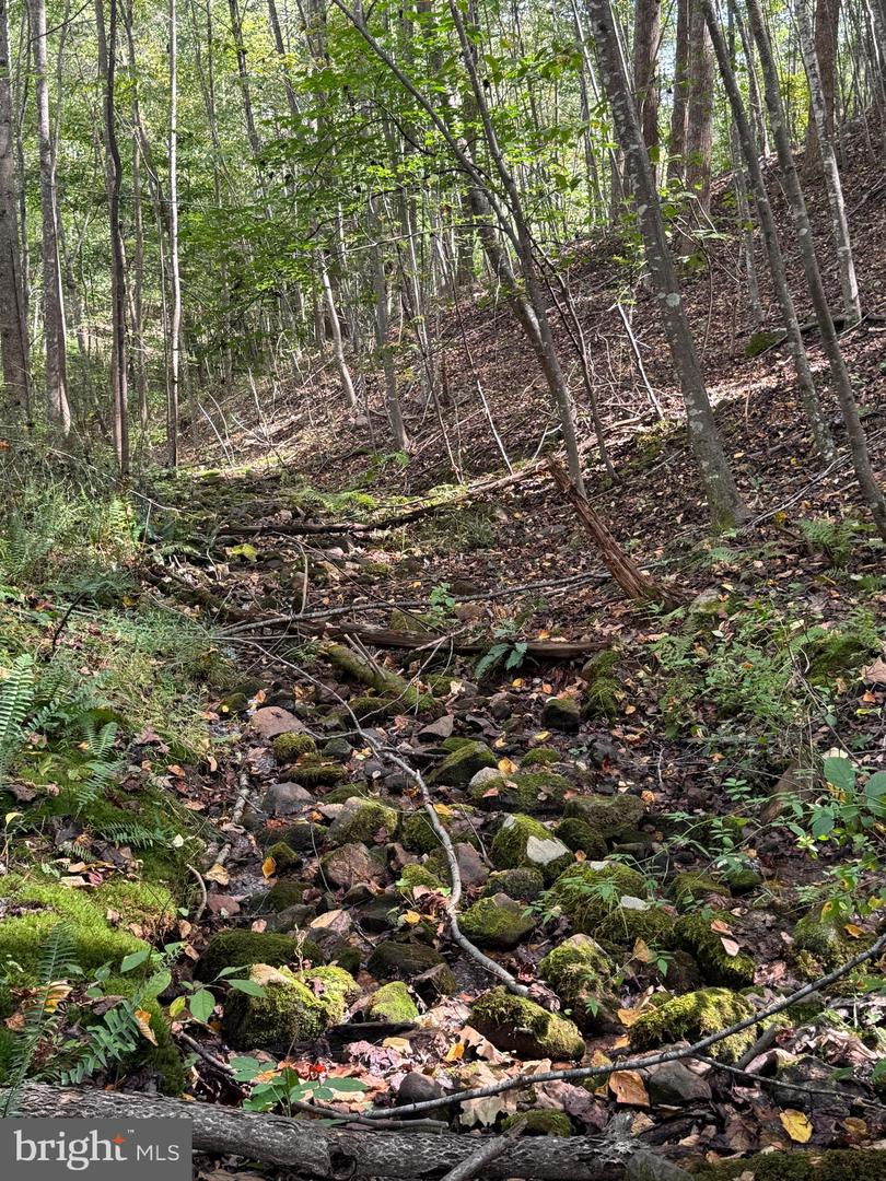 25 FALLING SPRINGS DR, AFTON, Virginia 22920, 3 Bedrooms Bedrooms, ,2 BathroomsBathrooms,Residential,For Sale,25 FALLING SPRINGS DR,VANL2000606 MLS # VANL2000606