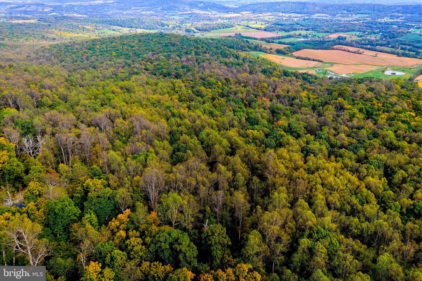 APPALACIAN TRAIL RD, ROUND HILL, Virginia 20141, ,Land,For Sale,APPALACIAN TRAIL RD,VALO2108460 MLS # VALO2108460 APPALACIAN TRAIL RD, ROUND HILL, Virginia 20141, ,Land,For Sale,APPALACIAN TRAIL RD,VALO2108460 MLS # VALO2108460