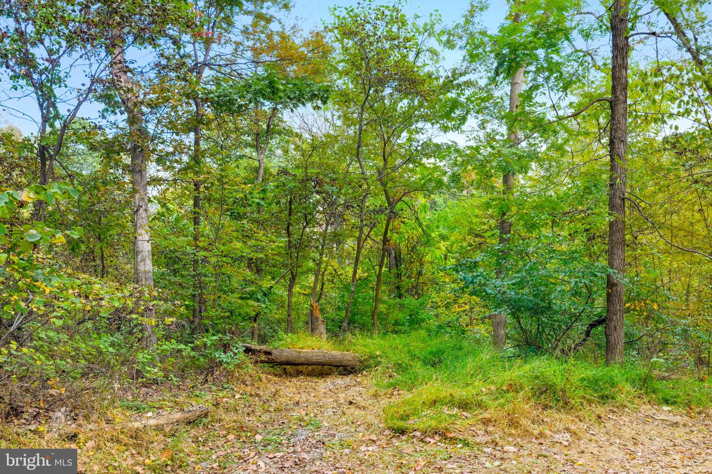 APPALACIAN TRAIL RD, ROUND HILL, Virginia 20141, ,Land,For Sale,APPALACIAN TRAIL RD,VALO2108460 MLS # VALO2108460 APPALACIAN TRAIL RD, ROUND HILL, Virginia 20141, ,Land,For Sale,APPALACIAN TRAIL RD,VALO2108460 MLS # VALO2108460