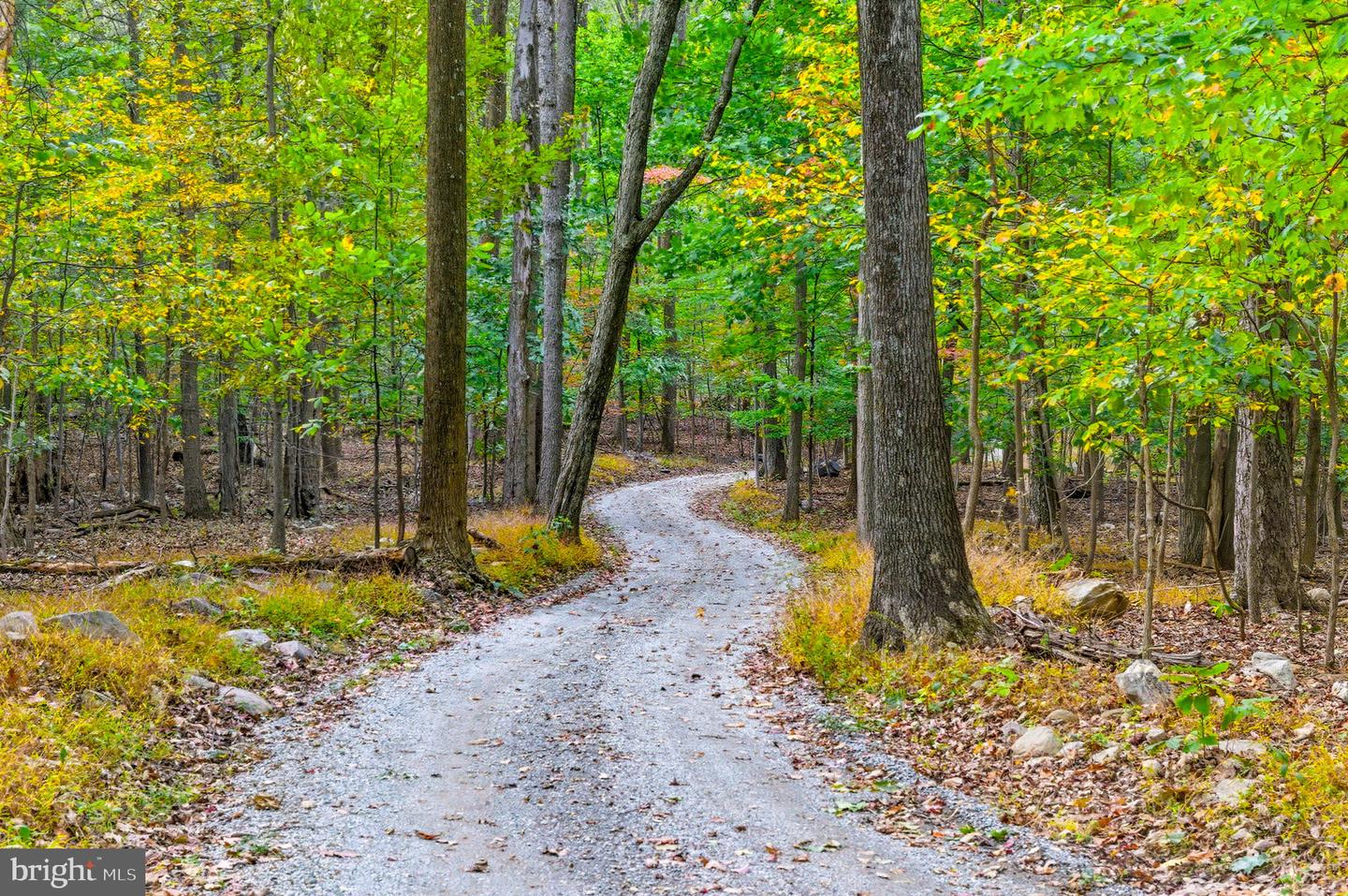 APPALACIAN TRAIL RD, ROUND HILL, Virginia 20141, ,Land,For Sale,APPALACIAN TRAIL RD,VALO2108460 MLS # VALO2108460 APPALACIAN TRAIL RD, ROUND HILL, Virginia 20141, ,Land,For Sale,APPALACIAN TRAIL RD,VALO2108460 MLS # VALO2108460