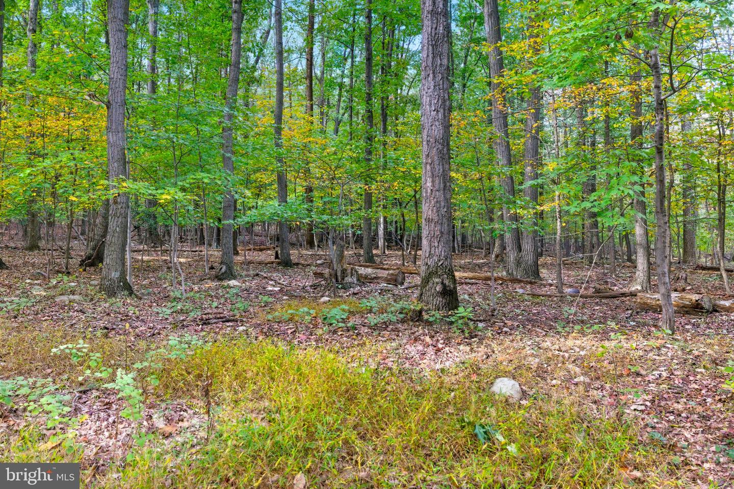 APPALACIAN TRAIL RD, ROUND HILL, Virginia 20141, ,Land,For Sale,APPALACIAN TRAIL RD,VALO2108460 MLS # VALO2108460 APPALACIAN TRAIL RD, ROUND HILL, Virginia 20141, ,Land,For Sale,APPALACIAN TRAIL RD,VALO2108460 MLS # VALO2108460