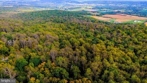 APPALACIAN TRAIL RD, ROUND HILL, Virginia 20141, ,Land,For Sale,APPALACIAN TRAIL RD,VALO2108460 MLS # VALO2108460