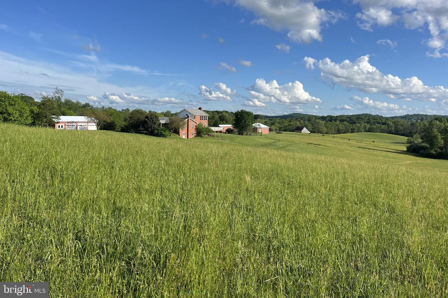 3542 SLATE MILLS RD, SPERRYVILLE, Virginia 22740, 3 Bedrooms Bedrooms, ,4 BathroomsBathrooms,Residential,For Sale,3542 SLATE MILLS RD,VARP2001974 MLS # VARP2001974 3542 SLATE MILLS RD, SPERRYVILLE, Virginia 22740, 3 Bedrooms Bedrooms, ,4 BathroomsBathrooms,Residential,For Sale,3542 SLATE MILLS RD,VARP2001974 MLS # VARP2001974