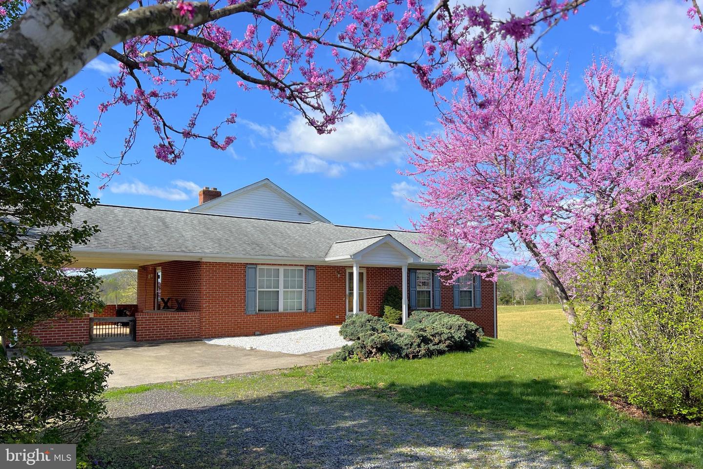 3542 SLATE MILLS RD, SPERRYVILLE, Virginia 22740, 3 Bedrooms Bedrooms, ,4 BathroomsBathrooms,Residential,For Sale,3542 SLATE MILLS RD,VARP2001974 MLS # VARP2001974 3542 SLATE MILLS RD, SPERRYVILLE, Virginia 22740, 3 Bedrooms Bedrooms, ,4 BathroomsBathrooms,Residential,For Sale,3542 SLATE MILLS RD,VARP2001974 MLS # VARP2001974