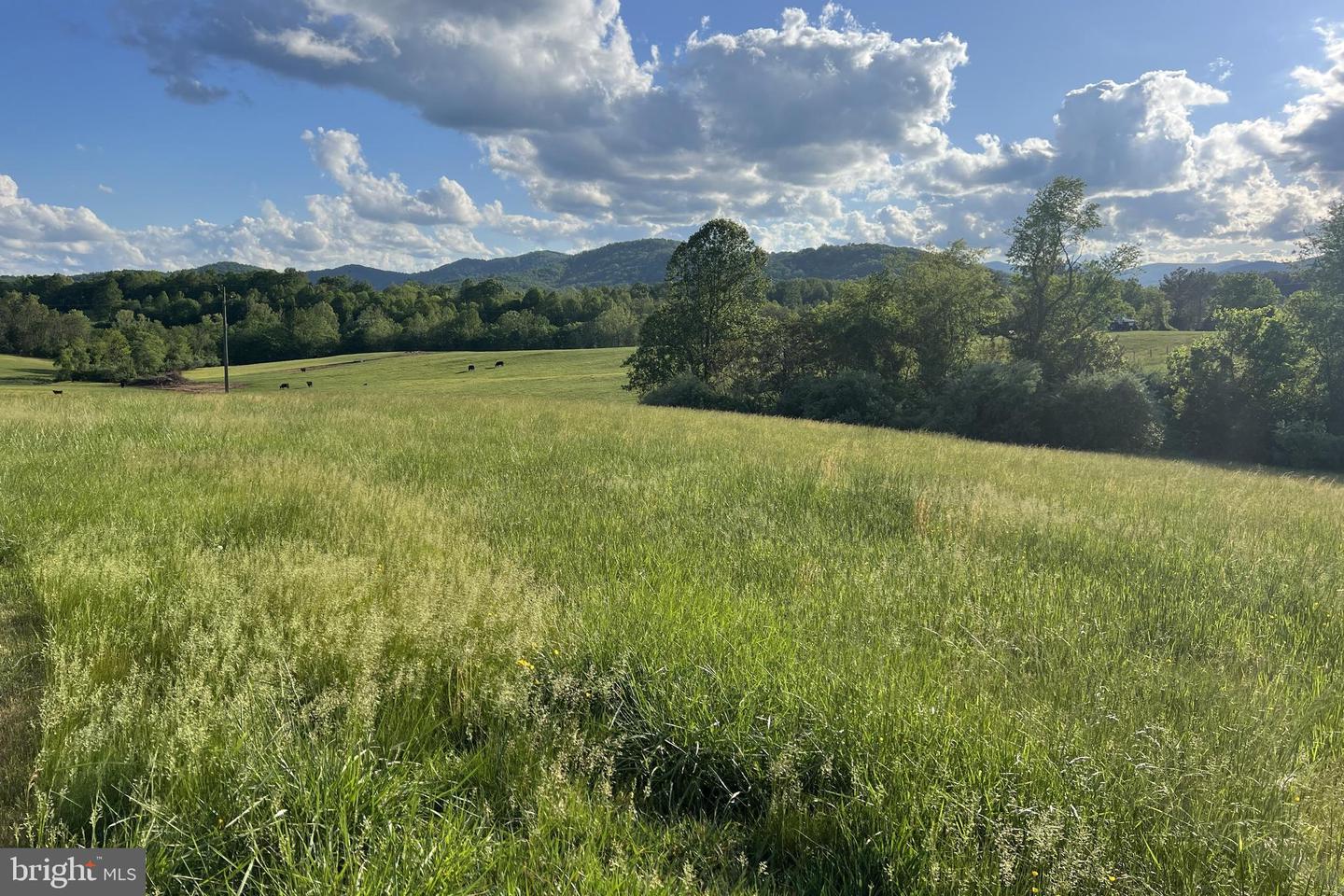 3542 SLATE MILLS RD, SPERRYVILLE, Virginia 22740, 3 Bedrooms Bedrooms, ,4 BathroomsBathrooms,Residential,For Sale,3542 SLATE MILLS RD,VARP2001974 MLS # VARP2001974 3542 SLATE MILLS RD, SPERRYVILLE, Virginia 22740, 3 Bedrooms Bedrooms, ,4 BathroomsBathrooms,Residential,For Sale,3542 SLATE MILLS RD,VARP2001974 MLS # VARP2001974