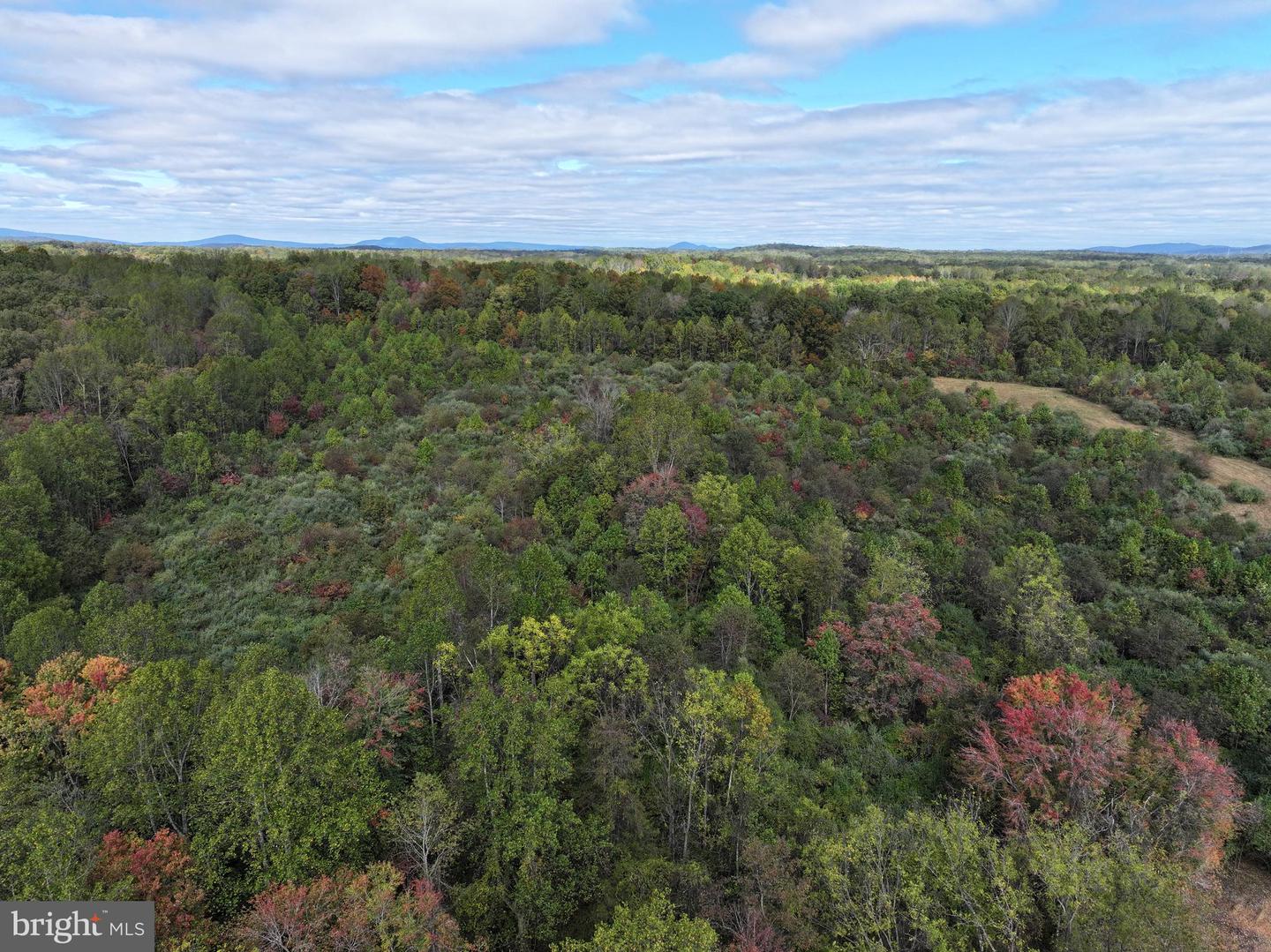 15371 SHEADS MOUNTAIN ROAD, RIXEYVILLE, Virginia 22737, 3 Bedrooms Bedrooms, ,3 BathroomsBathrooms,Residential,For Sale,15371 SHEADS MOUNTAIN ROAD,VACU2011816 MLS # VACU2011816 15371 SHEADS MOUNTAIN ROAD, RIXEYVILLE, Virginia 22737, 3 Bedrooms Bedrooms, ,3 BathroomsBathrooms,Residential,For Sale,15371 SHEADS MOUNTAIN ROAD,VACU2011816 MLS # VACU2011816
