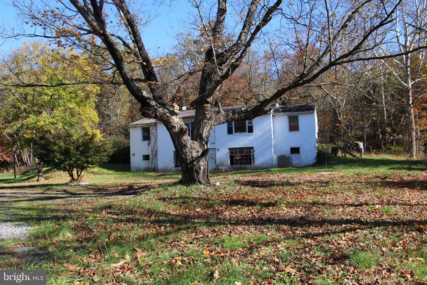 859 BRUSH CREEK, WINCHESTER, Virginia 22603, 3 Bedrooms Bedrooms, ,1 BathroomBathrooms,Residential,For Sale,859 BRUSH CREEK,VAFV2037510 MLS # VAFV2037510 859 BRUSH CREEK, WINCHESTER, Virginia 22603, 3 Bedrooms Bedrooms, ,1 BathroomBathrooms,Residential,For Sale,859 BRUSH CREEK,VAFV2037510 MLS # VAFV2037510