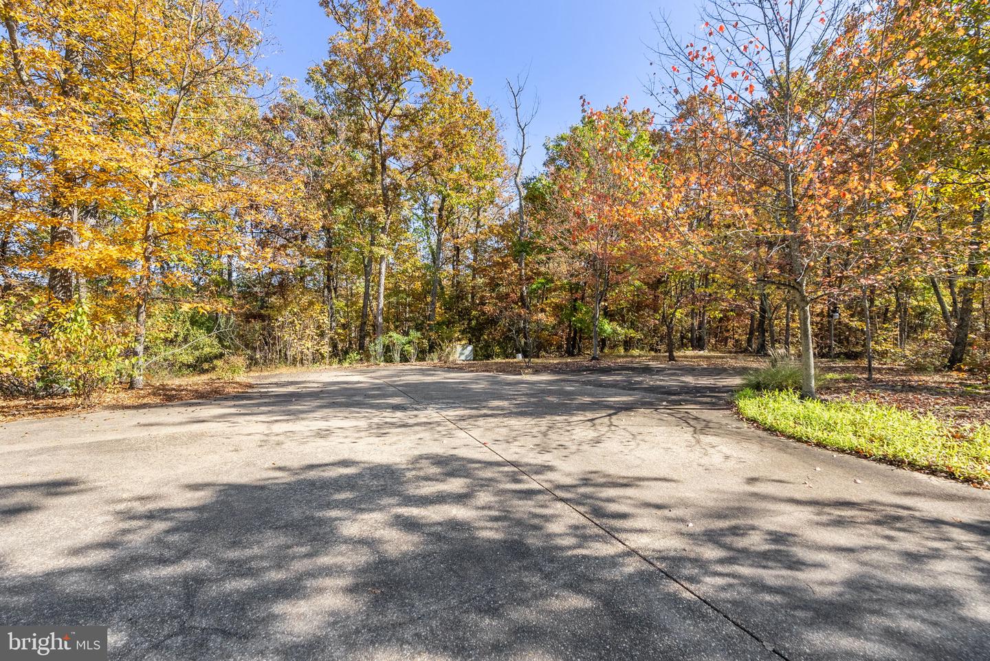 1631 BACK MOUNTAIN RD, WINCHESTER, Virginia 22603, 5 Bedrooms Bedrooms, ,2 BathroomsBathrooms,Residential,For Sale,1631 BACK MOUNTAIN RD,VAFV2037610 MLS # VAFV2037610 1631 BACK MOUNTAIN RD, WINCHESTER, Virginia 22603, 5 Bedrooms Bedrooms, ,2 BathroomsBathrooms,Residential,For Sale,1631 BACK MOUNTAIN RD,VAFV2037610 MLS # VAFV2037610