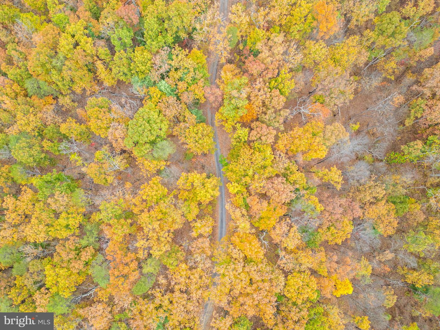 1631 BACK MOUNTAIN RD, WINCHESTER, Virginia 22603, 5 Bedrooms Bedrooms, ,2 BathroomsBathrooms,Residential,For Sale,1631 BACK MOUNTAIN RD,VAFV2037610 MLS # VAFV2037610 1631 BACK MOUNTAIN RD, WINCHESTER, Virginia 22603, 5 Bedrooms Bedrooms, ,2 BathroomsBathrooms,Residential,For Sale,1631 BACK MOUNTAIN RD,VAFV2037610 MLS # VAFV2037610