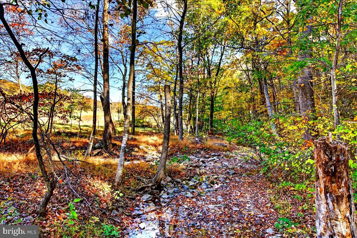 290 RILEY HOLLOW RD, HUNTLY, Virginia 22640, 3 Bedrooms Bedrooms, ,3 BathroomsBathrooms,Farm,For Sale,290 RILEY HOLLOW RD,VARP2002364 MLS # VARP2002364