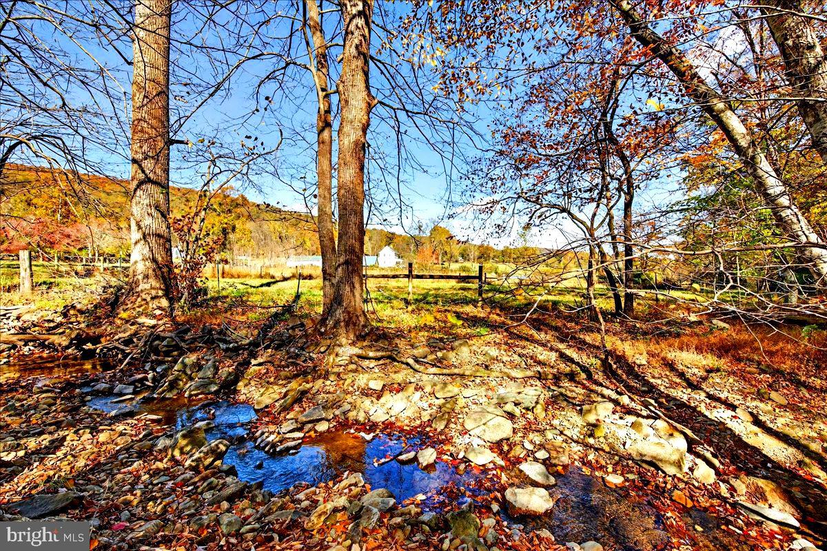 290 RILEY HOLLOW RD, HUNTLY, Virginia 22640, 3 Bedrooms Bedrooms, ,3 BathroomsBathrooms,Farm,For Sale,290 RILEY HOLLOW RD,VARP2002364 MLS # VARP2002364