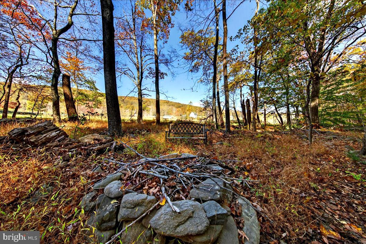 290 RILEY HOLLOW RD, HUNTLY, Virginia 22640, 3 Bedrooms Bedrooms, ,3 BathroomsBathrooms,Farm,For Sale,290 RILEY HOLLOW RD,VARP2002364 MLS # VARP2002364