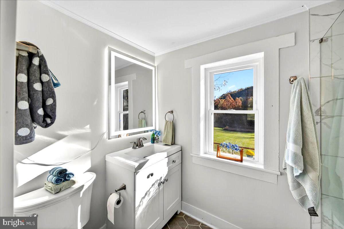 290 RILEY HOLLOW RD, HUNTLY, Virginia 22640, 3 Bedrooms Bedrooms, ,3 BathroomsBathrooms,Farm,For Sale,290 RILEY HOLLOW RD,VARP2002364 MLS # VARP2002364