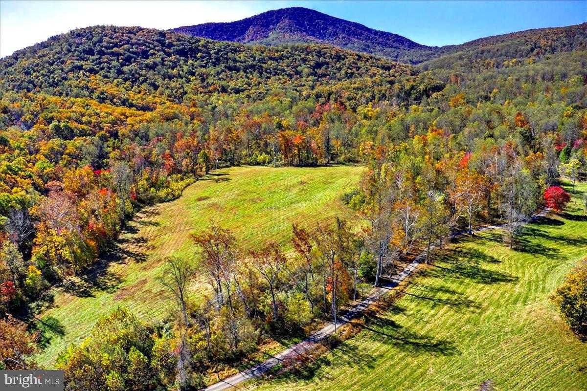 290 RILEY HOLLOW RD, HUNTLY, Virginia 22640, 3 Bedrooms Bedrooms, ,3 BathroomsBathrooms,Farm,For Sale,290 RILEY HOLLOW RD,VARP2002364 MLS # VARP2002364