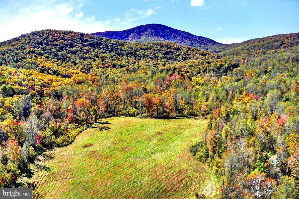 290 RILEY HOLLOW RD, HUNTLY, Virginia 22640, 3 Bedrooms Bedrooms, ,3 BathroomsBathrooms,Farm,For Sale,290 RILEY HOLLOW RD,VARP2002364 MLS # VARP2002364