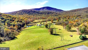 290 RILEY HOLLOW RD HUNTLY Virginia 22640