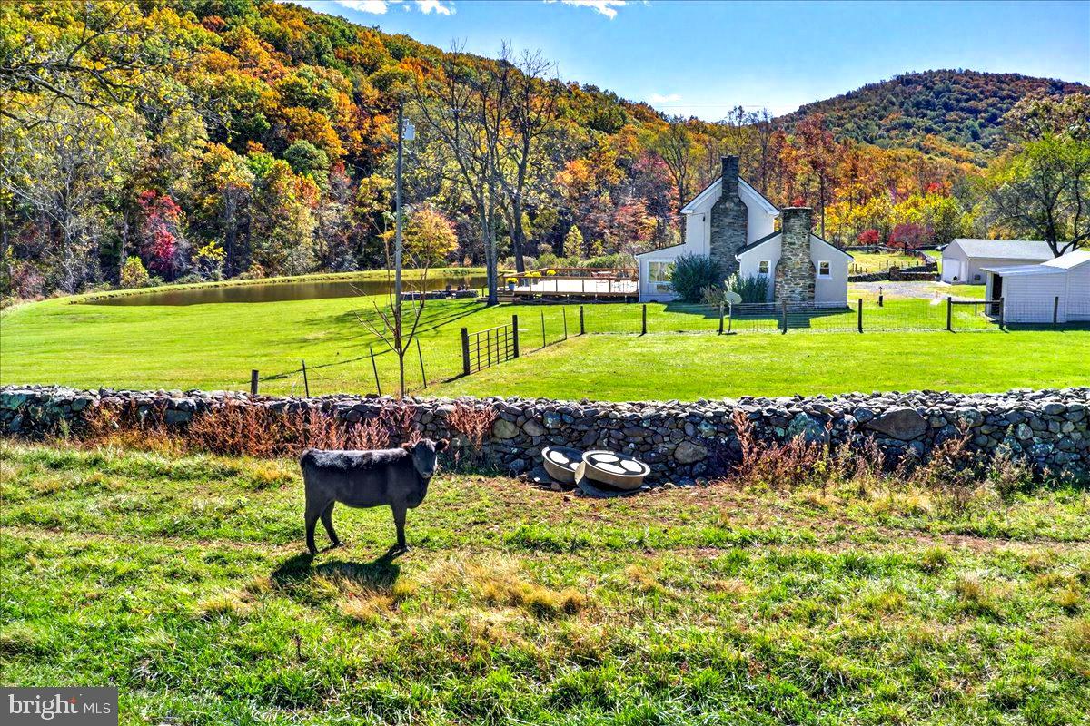 290 RILEY HOLLOW RD, HUNTLY, Virginia 22640, 3 Bedrooms Bedrooms, ,3 BathroomsBathrooms,Residential,For Sale,290 RILEY HOLLOW RD,VARP2002360 MLS # VARP2002360