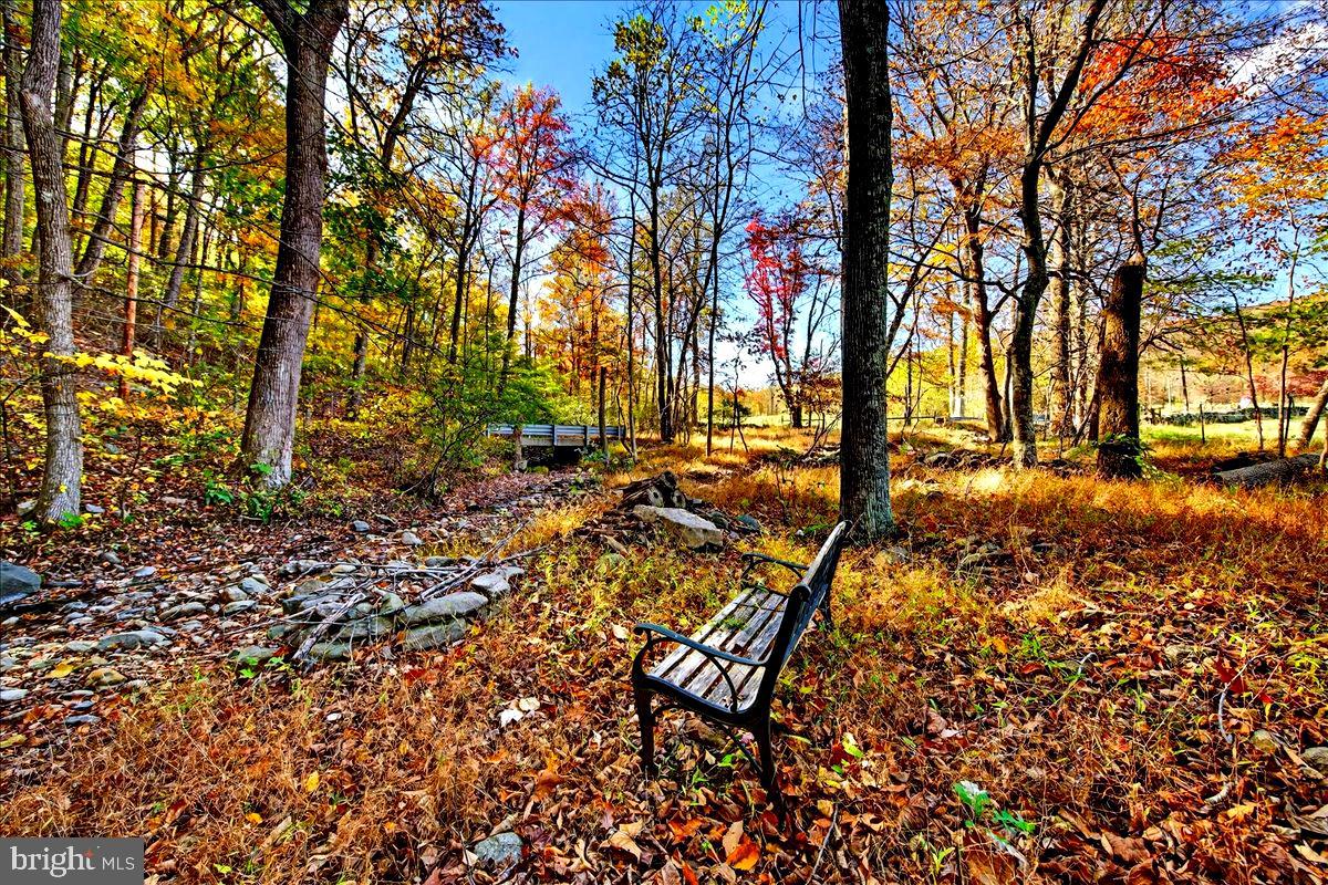 290 RILEY HOLLOW RD, HUNTLY, Virginia 22640, 3 Bedrooms Bedrooms, ,3 BathroomsBathrooms,Residential,For Sale,290 RILEY HOLLOW RD,VARP2002360 MLS # VARP2002360