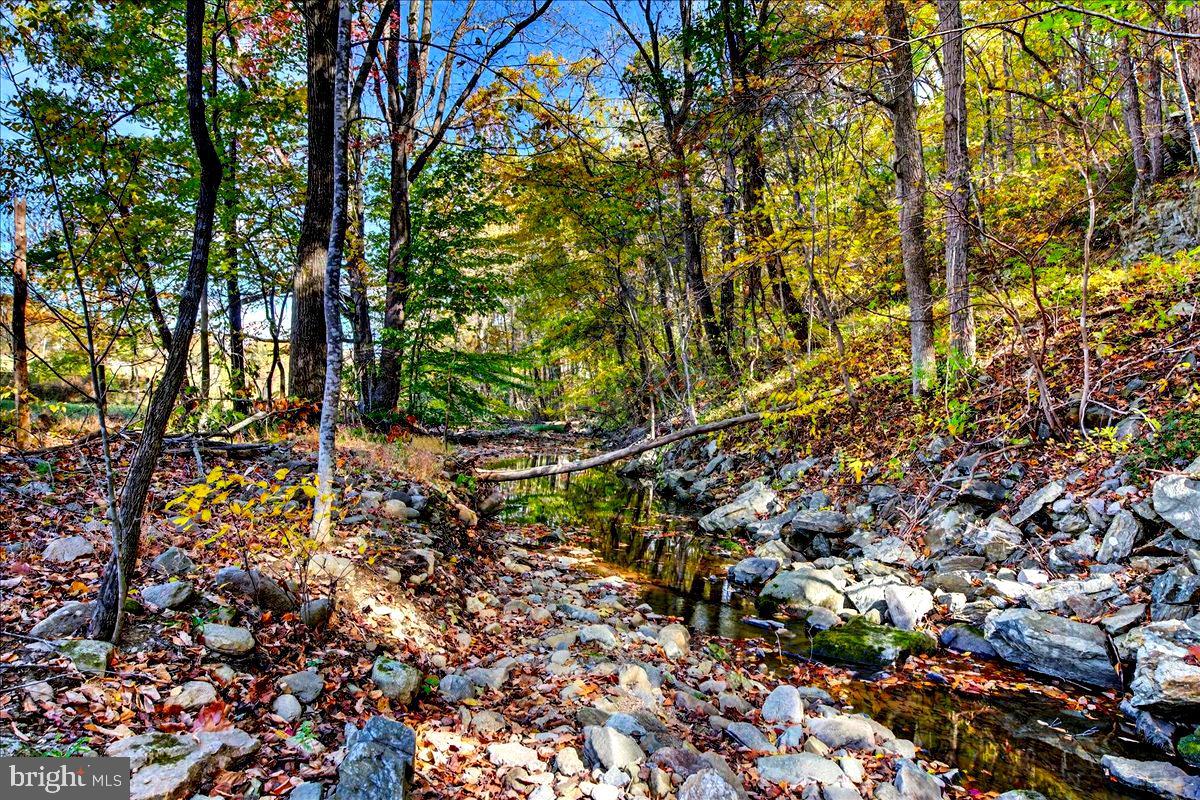 290 RILEY HOLLOW RD, HUNTLY, Virginia 22640, 3 Bedrooms Bedrooms, ,3 BathroomsBathrooms,Residential,For Sale,290 RILEY HOLLOW RD,VARP2002360 MLS # VARP2002360