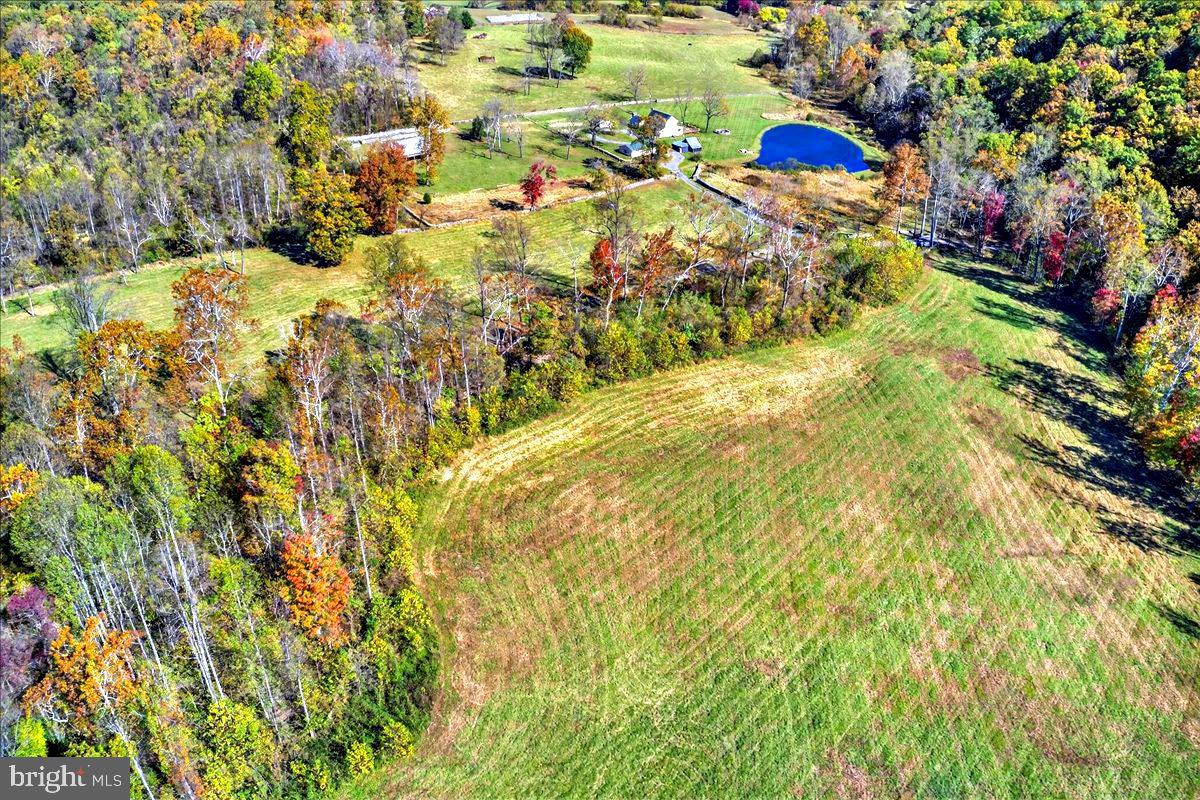 290 RILEY HOLLOW RD, HUNTLY, Virginia 22640, 3 Bedrooms Bedrooms, ,3 BathroomsBathrooms,Residential,For Sale,290 RILEY HOLLOW RD,VARP2002360 MLS # VARP2002360