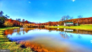 290 RILEY HOLLOW RD HUNTLY Virginia 22640