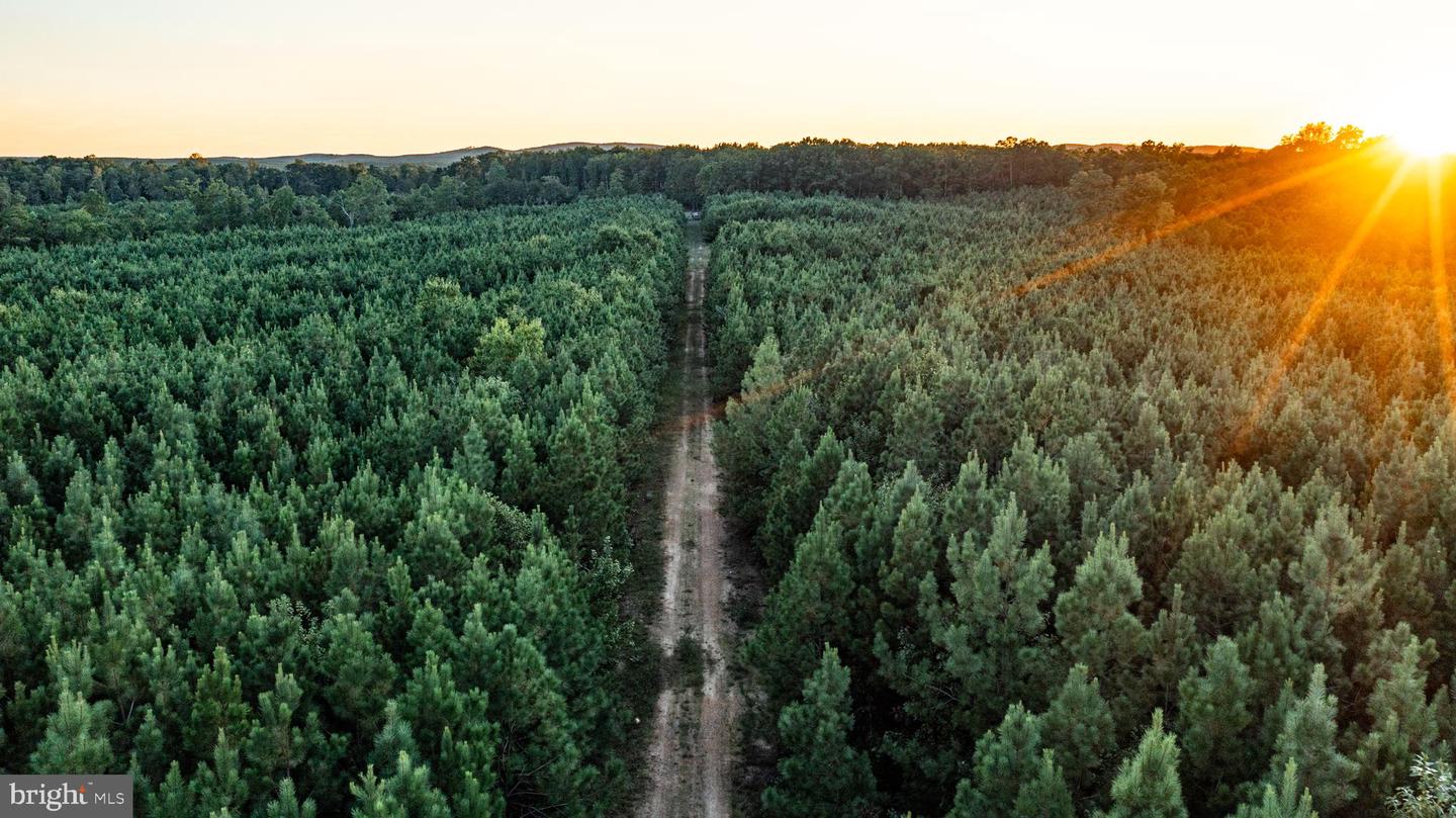 0 GRANDVIEW LN, BUCKINGHAM, Virginia 23921, ,Farm,For Sale,0 GRANDVIEW LN,VABH2000228 MLS # VABH2000228