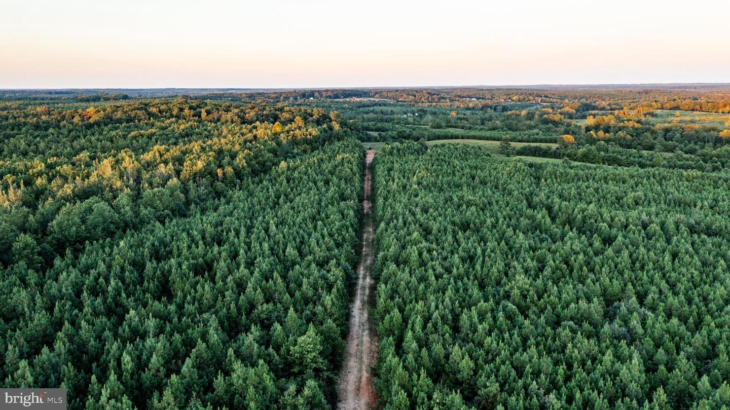 0 GRANDVIEW LN, BUCKINGHAM, Virginia 23921, ,Farm,For Sale,0 GRANDVIEW LN,VABH2000228 MLS # VABH2000228