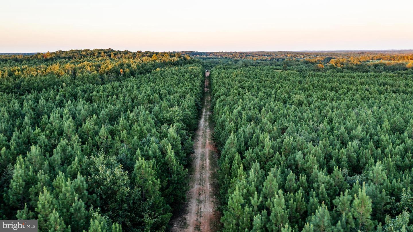 0 GRANDVIEW LN, BUCKINGHAM, Virginia 23921, ,Farm,For Sale,0 GRANDVIEW LN,VABH2000228 MLS # VABH2000228