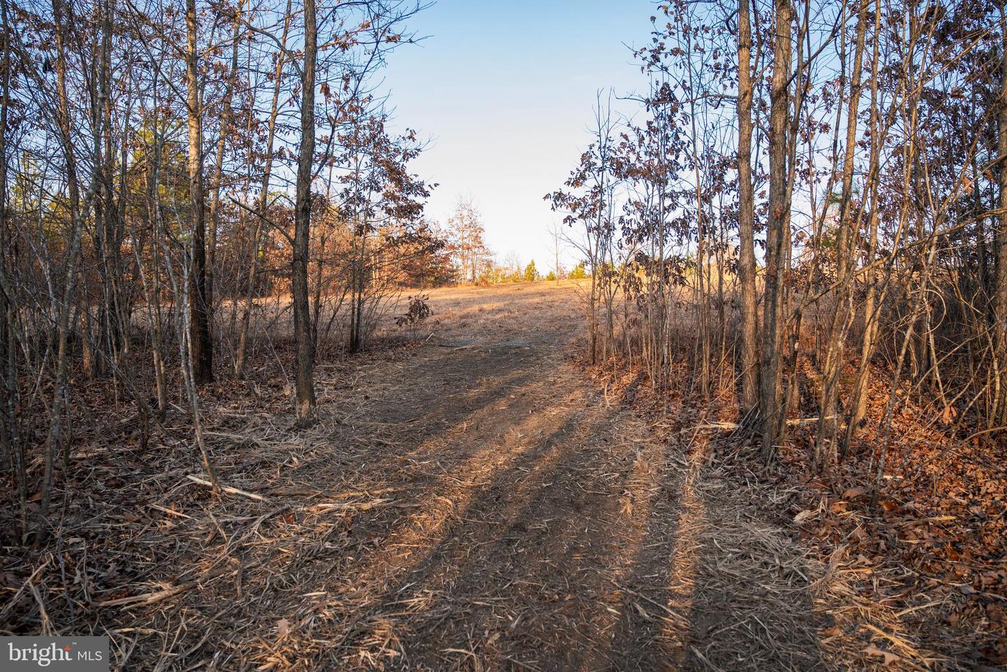 0 GRANDVIEW LN, BUCKINGHAM, Virginia 23921, ,Farm,For Sale,0 GRANDVIEW LN,VABH2000228 MLS # VABH2000228