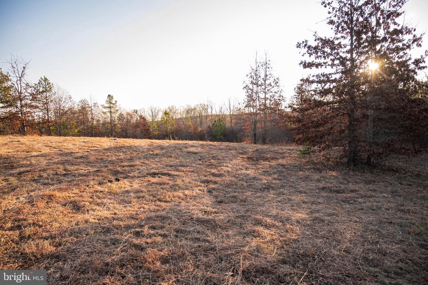 0 GRANDVIEW LN, BUCKINGHAM, Virginia 23921, ,Farm,For Sale,0 GRANDVIEW LN,VABH2000228 MLS # VABH2000228