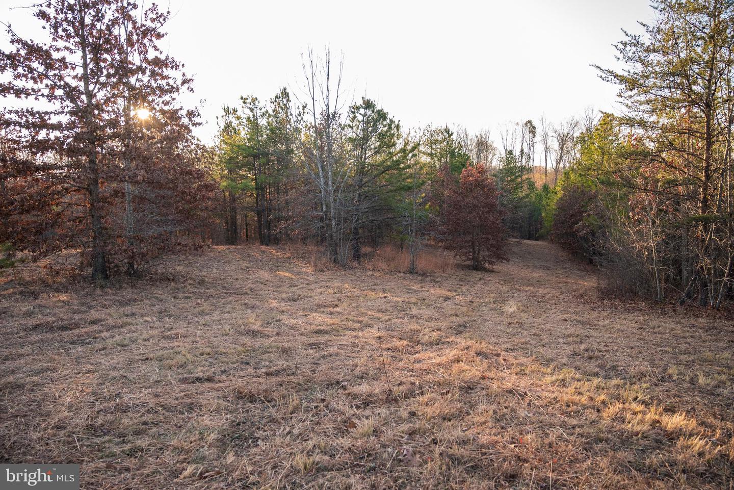 0 GRANDVIEW LN, BUCKINGHAM, Virginia 23921, ,Farm,For Sale,0 GRANDVIEW LN,VABH2000228 MLS # VABH2000228