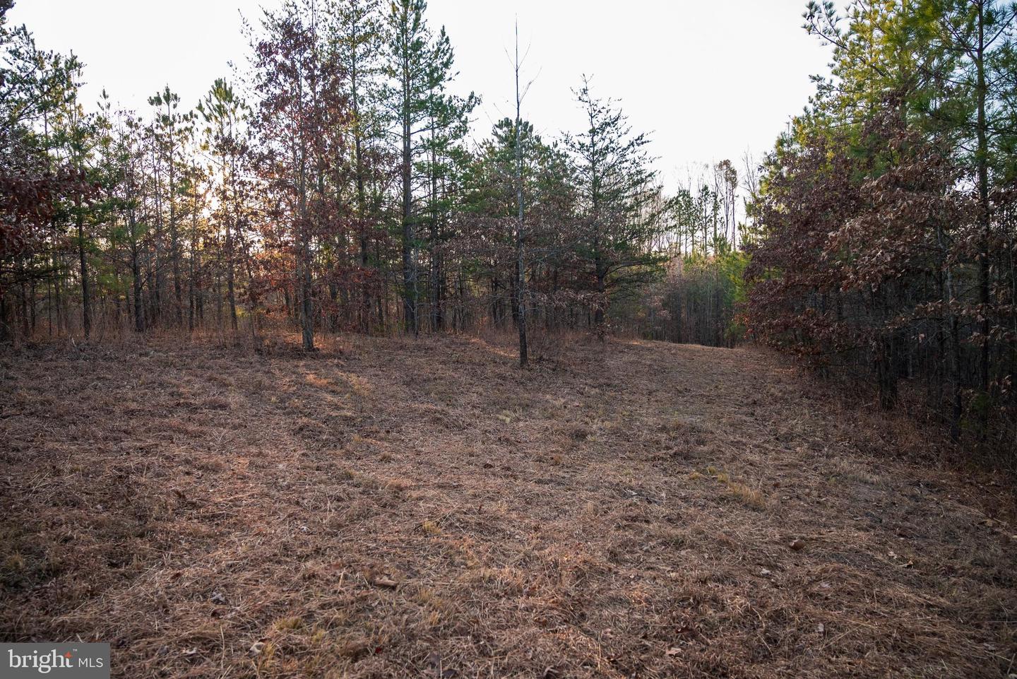 0 GRANDVIEW LN, BUCKINGHAM, Virginia 23921, ,Farm,For Sale,0 GRANDVIEW LN,VABH2000228 MLS # VABH2000228