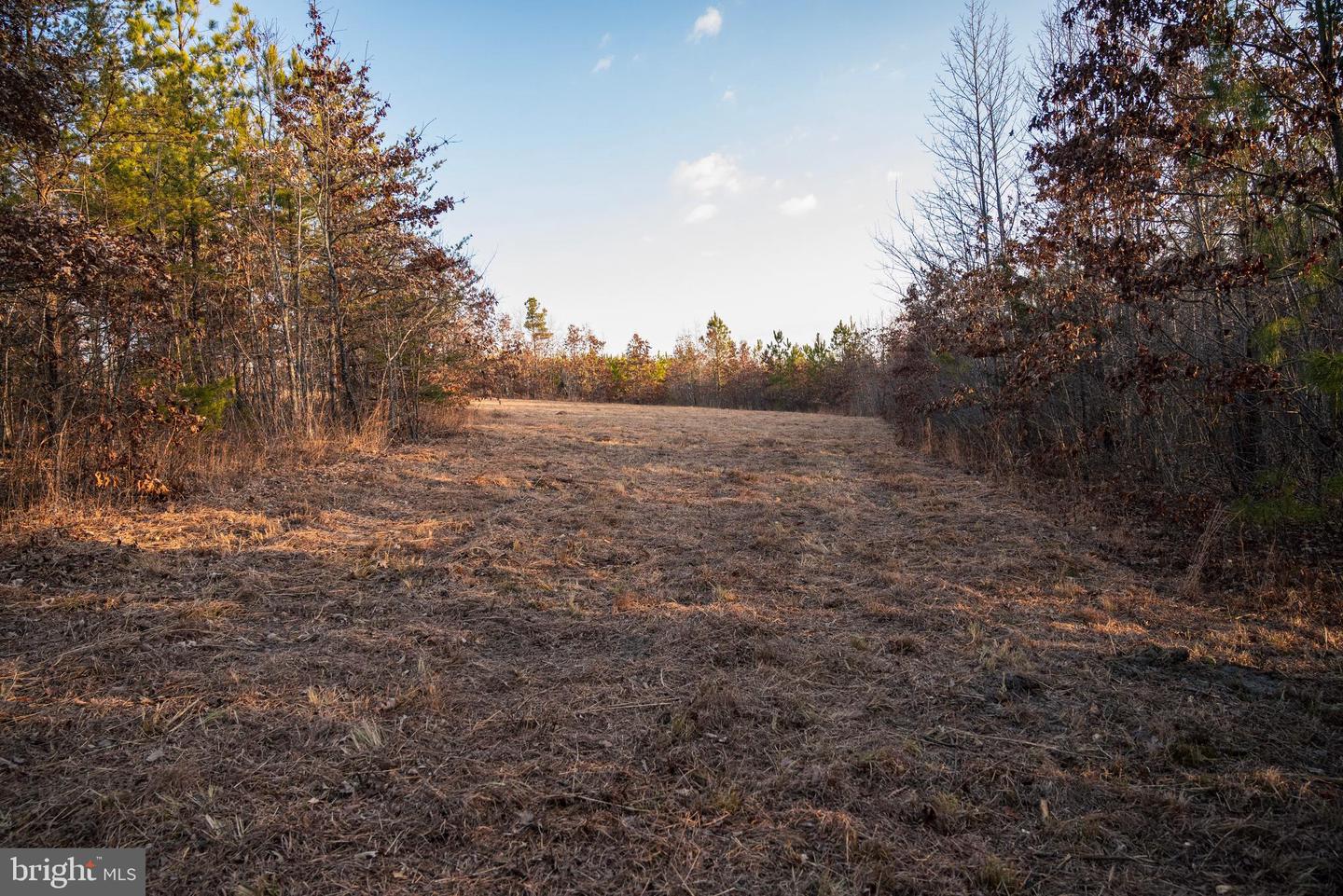 0 GRANDVIEW LN, BUCKINGHAM, Virginia 23921, ,Farm,For Sale,0 GRANDVIEW LN,VABH2000228 MLS # VABH2000228