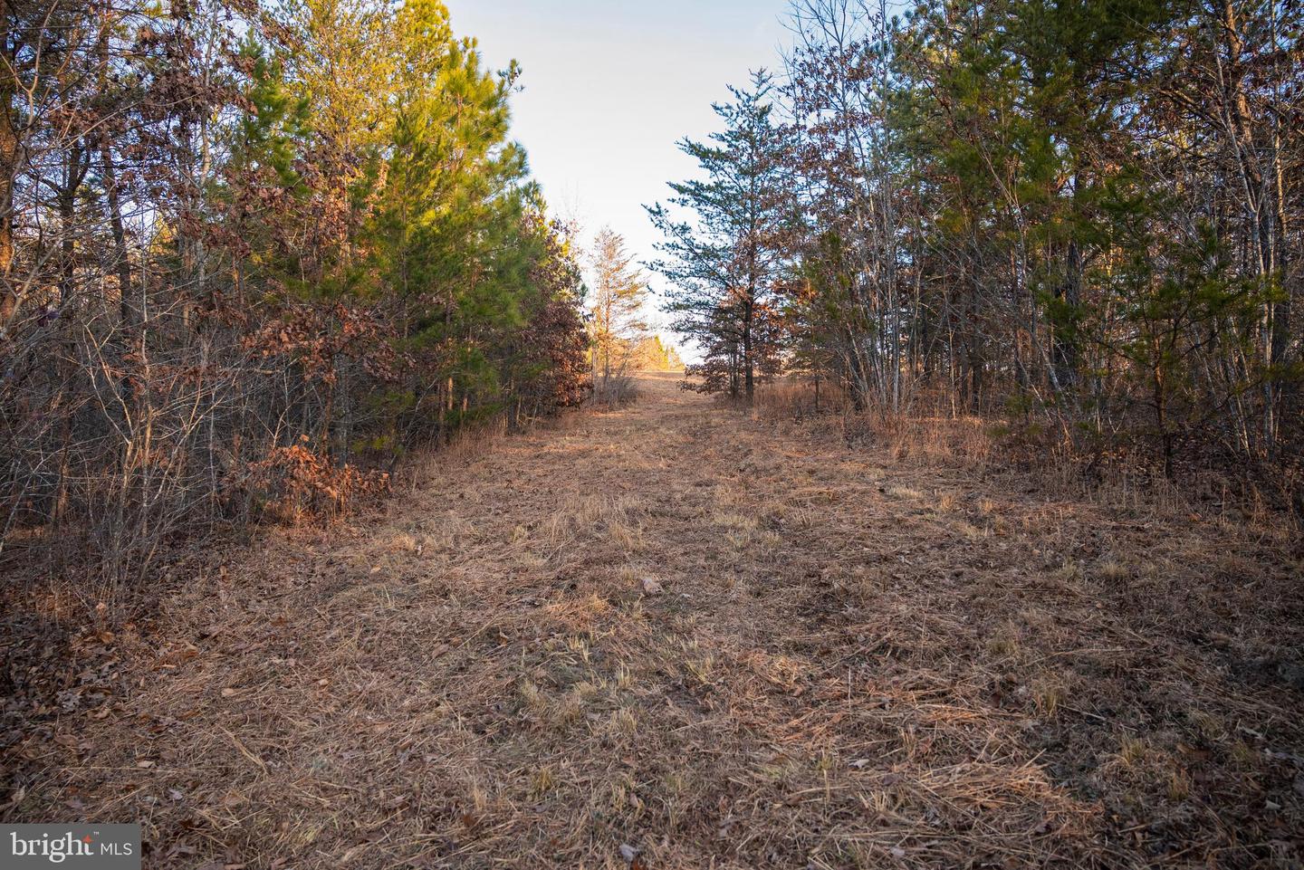 0 GRANDVIEW LN, BUCKINGHAM, Virginia 23921, ,Farm,For Sale,0 GRANDVIEW LN,VABH2000228 MLS # VABH2000228