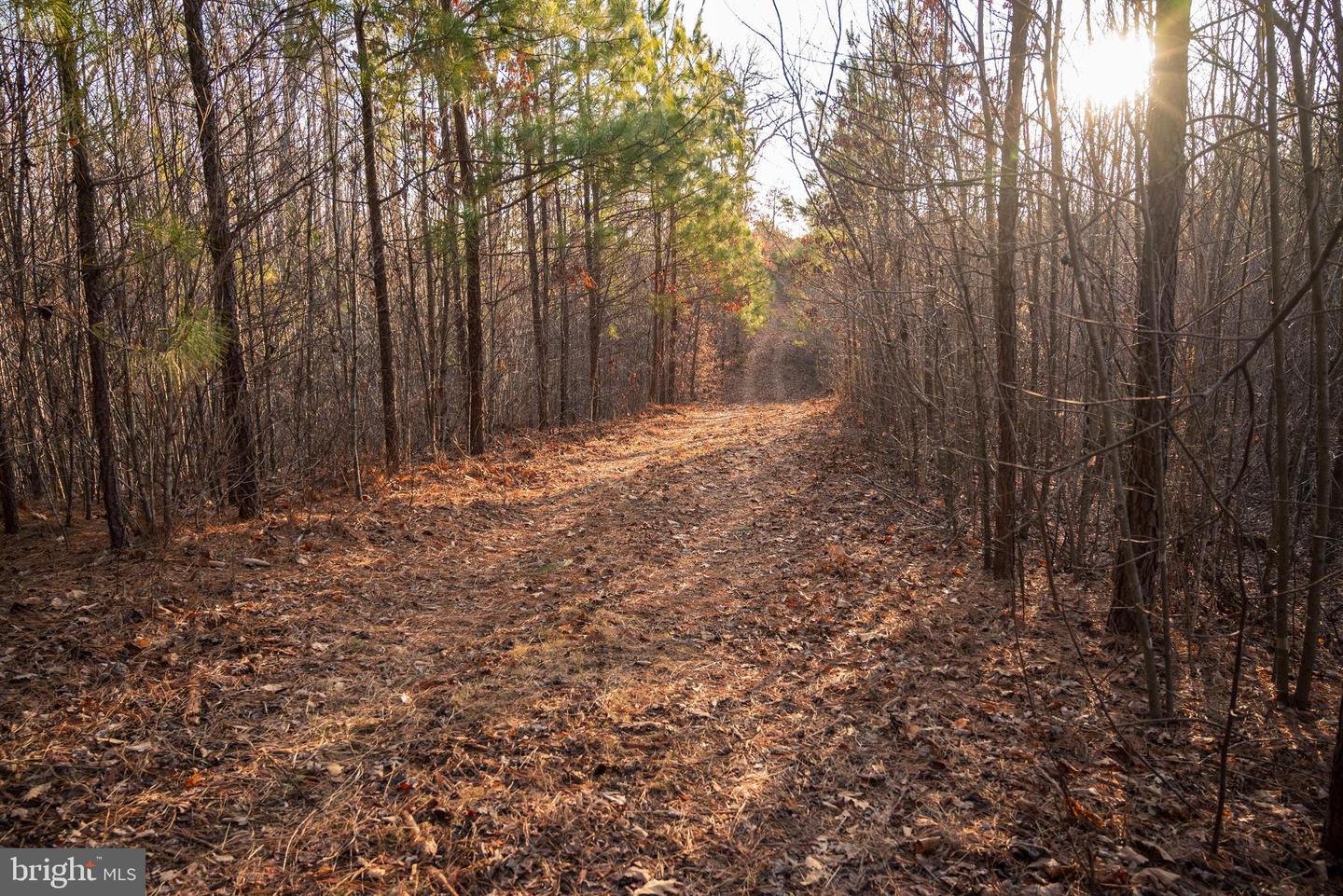 0 GRANDVIEW LN, BUCKINGHAM, Virginia 23921, ,Farm,For Sale,0 GRANDVIEW LN,VABH2000228 MLS # VABH2000228