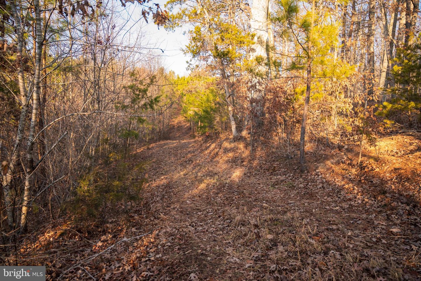 0 GRANDVIEW LN, BUCKINGHAM, Virginia 23921, ,Farm,For Sale,0 GRANDVIEW LN,VABH2000228 MLS # VABH2000228