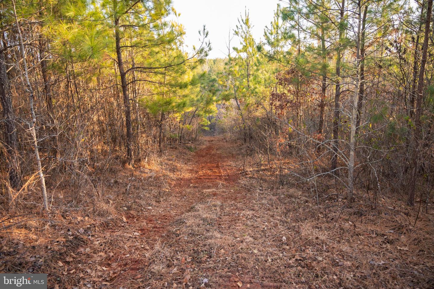 0 GRANDVIEW LN, BUCKINGHAM, Virginia 23921, ,Farm,For Sale,0 GRANDVIEW LN,VABH2000228 MLS # VABH2000228