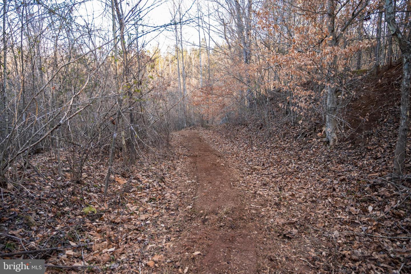 0 GRANDVIEW LN, BUCKINGHAM, Virginia 23921, ,Farm,For Sale,0 GRANDVIEW LN,VABH2000228 MLS # VABH2000228