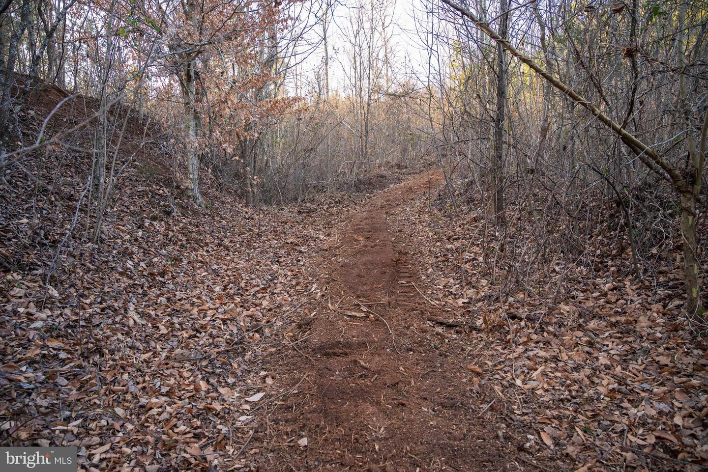 0 GRANDVIEW LN, BUCKINGHAM, Virginia 23921, ,Farm,For Sale,0 GRANDVIEW LN,VABH2000228 MLS # VABH2000228