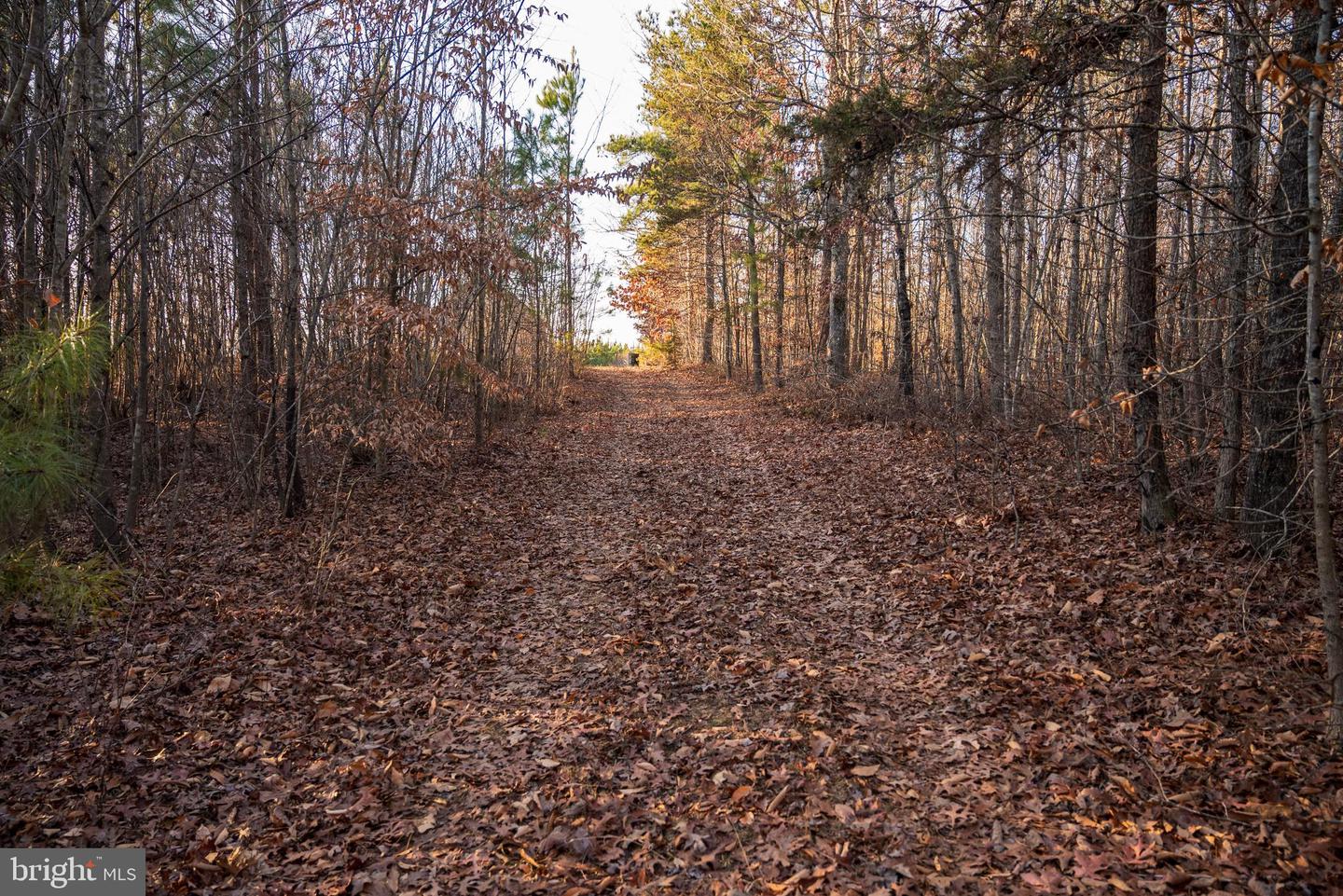 0 GRANDVIEW LN, BUCKINGHAM, Virginia 23921, ,Farm,For Sale,0 GRANDVIEW LN,VABH2000228 MLS # VABH2000228