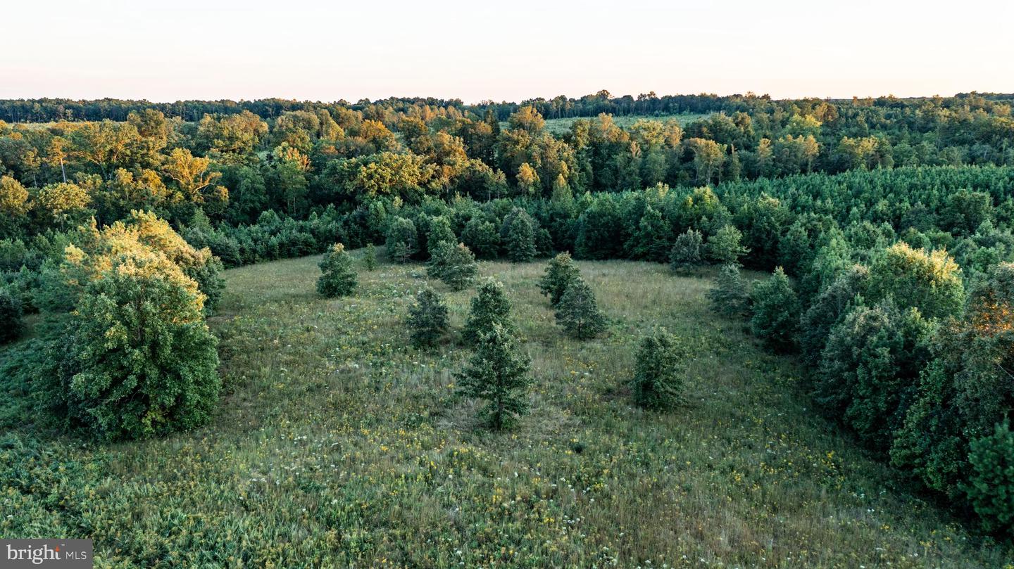 0 GRANDVIEW LN, BUCKINGHAM, Virginia 23921, ,Farm,For Sale,0 GRANDVIEW LN,VABH2000228 MLS # VABH2000228