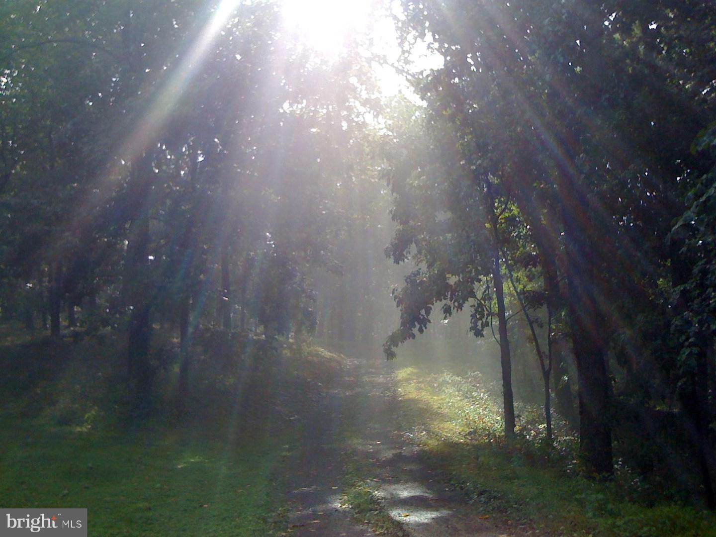 200 FOGG MOUNTAIN LN, FLINT HILL, Virginia 22627, 3 Bedrooms Bedrooms, ,2 BathroomsBathrooms,Residential,For Sale,200 FOGG MOUNTAIN LN,VARP2002366 MLS # VARP2002366