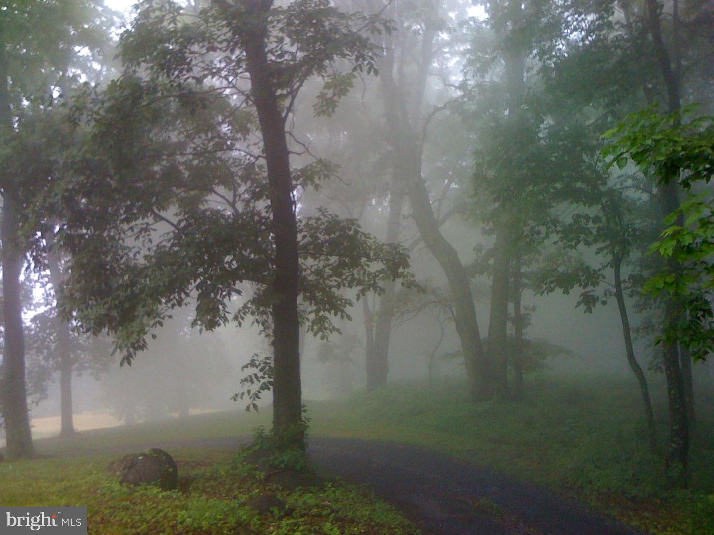 200 FOGG MOUNTAIN LN, FLINT HILL, Virginia 22627, 3 Bedrooms Bedrooms, ,2 BathroomsBathrooms,Residential,For Sale,200 FOGG MOUNTAIN LN,VARP2002366 MLS # VARP2002366